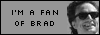 Brad Whitford fan